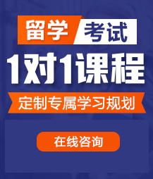 捣入屄里在野外视频留学考试一对一精品课